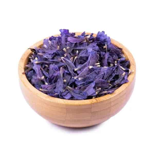 گل گاو زبان